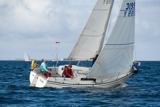 hot toddy whw10 thur rmc 7174